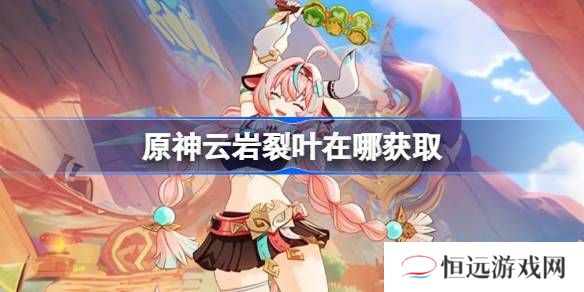 原神云岩裂叶采集路线分析 云岩裂叶位置分享