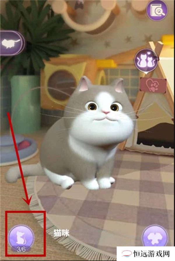 时光公主怎么照料猫咪