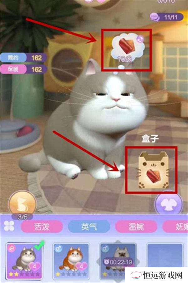 时光公主怎么照料猫咪