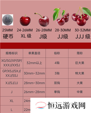 车厘子大小等级J是什么意思 车厘子2j3j4j是什么意思